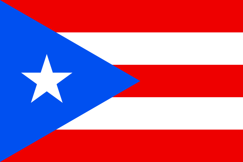 Puerto Rico Process Server